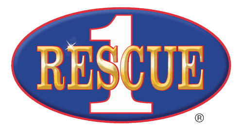 Fire Rescue One Fdny Rescue 1 Logo Baltimore City Fire Department Rescue 1 Pins